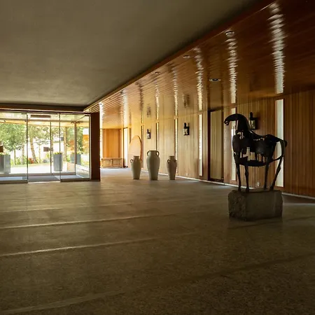 Apartment Mountain View With Parking & Fast Wifi Crans-Montana