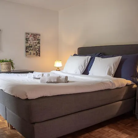Mountain View With Parking & Fast Wifi Apartment