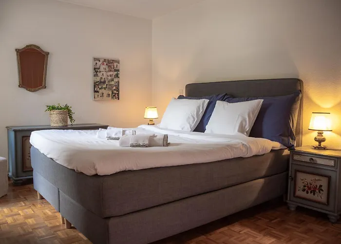 Mountain View With Parking & Fast Wifi Apartment